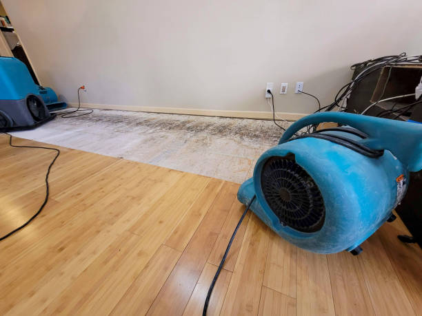 Reliable Basement Flood Cleanup contractor in Johnson City, TN by Hirex Water Damage