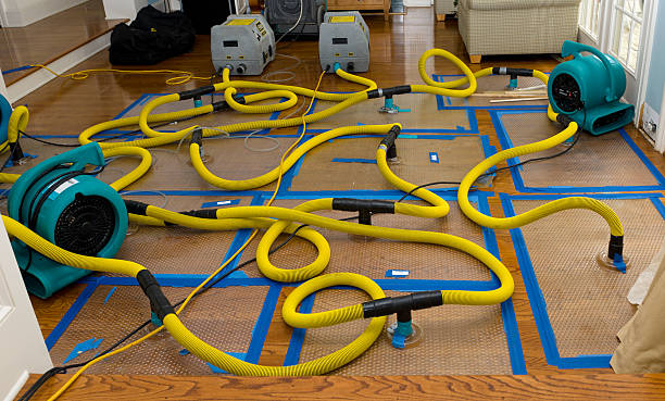Professional Basement Flood Cleanup technician working in Johnson City, TN